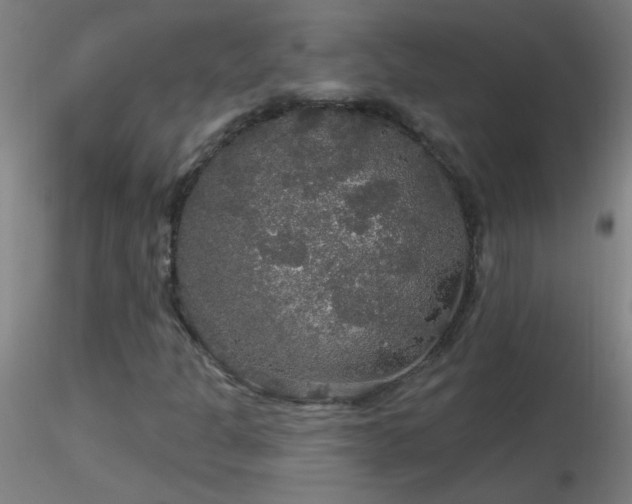 X0000116791301200912181244