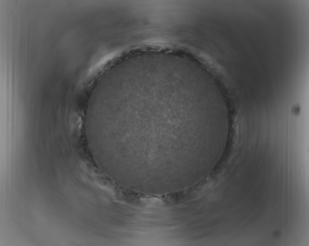 X0000116791302200912181244