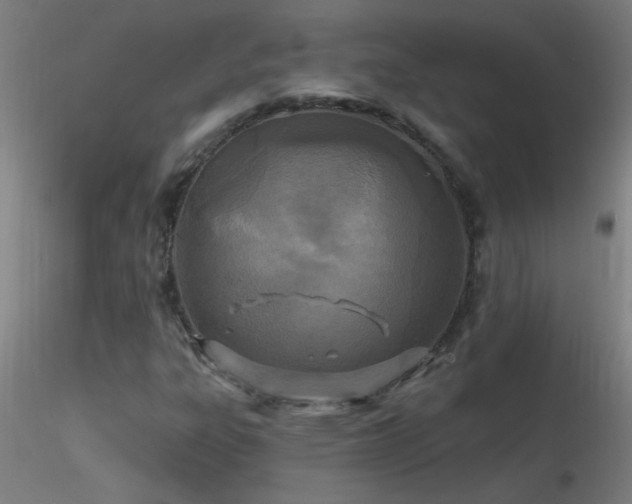 X0000116791303200912181244