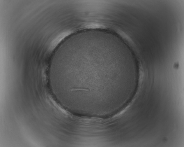 X0000116791305200912181244