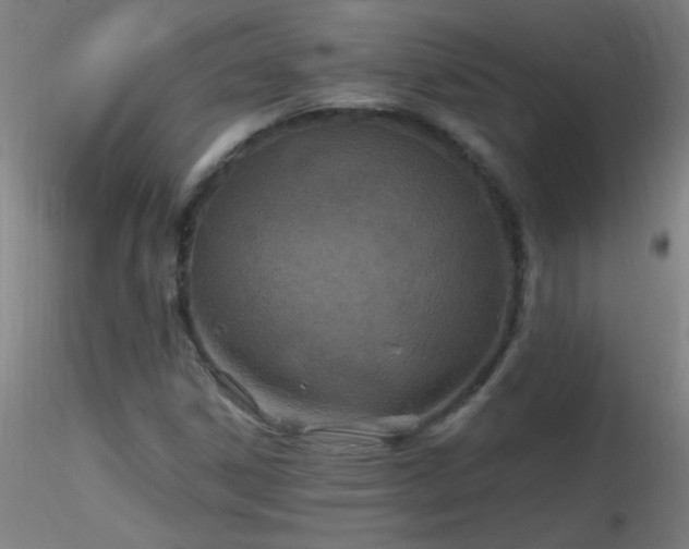 X0000116791306200912181244