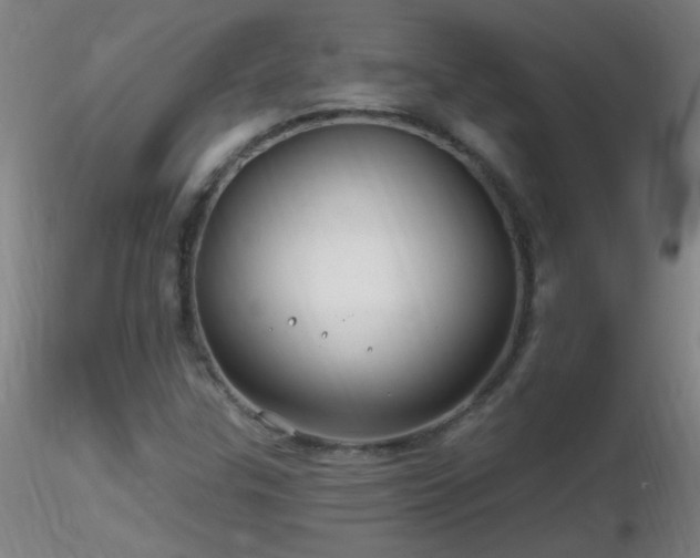 X0000116791307200912181244