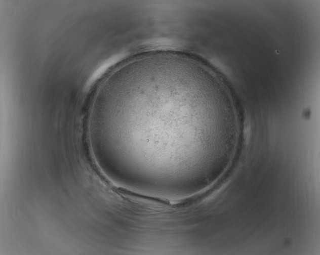 X0000116791309200912181244