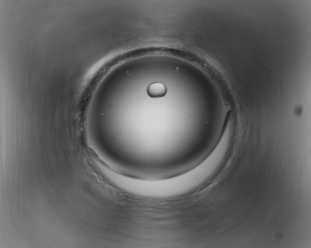 X0000116791310200912181244
