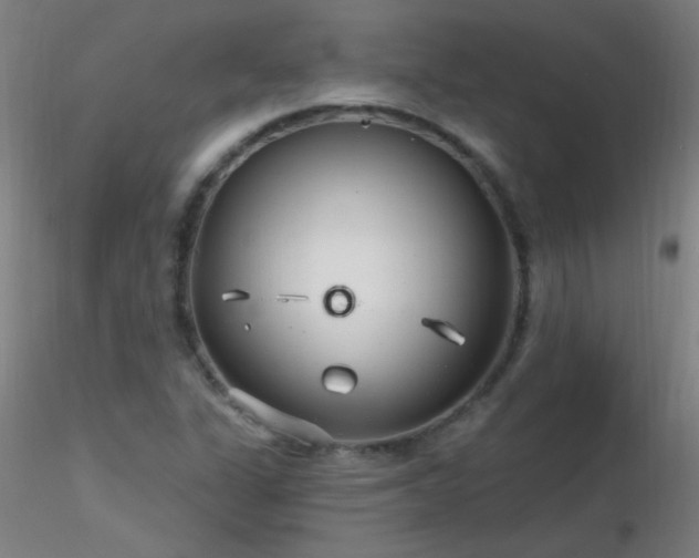 X0000116791311200912181244