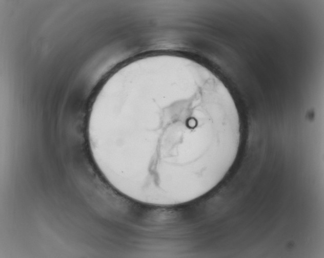 X0000116791314200912181244