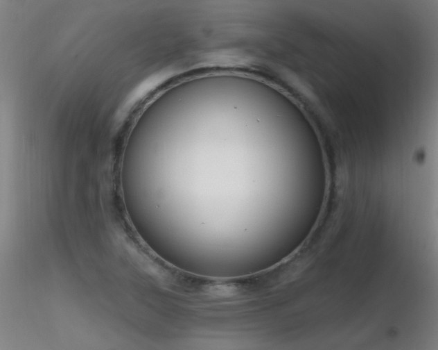 X0000116791315200912181244