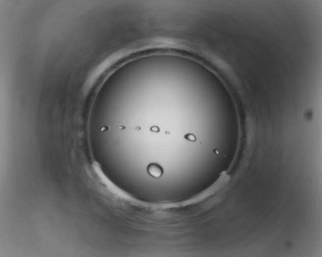 X0000116791318200912181244