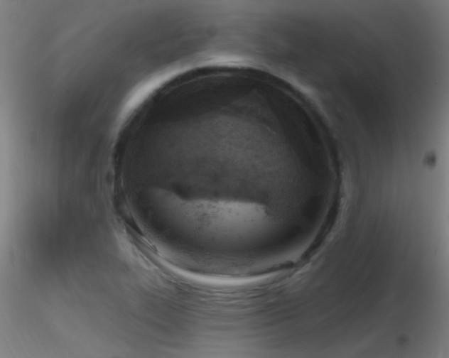 X0000116791319200912181245