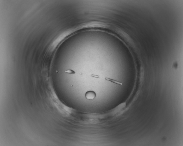 X0000116791321200912181245