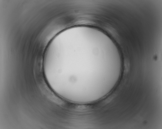 X0000116791322200912181245