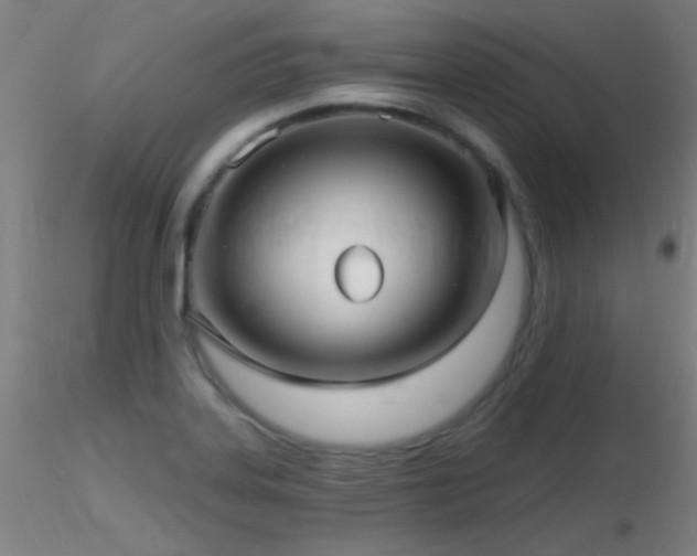 X0000116791323200912181245