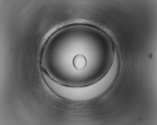 X0000116791326200912181245