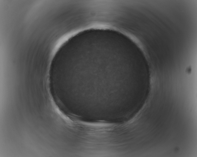 X0000116791327200912181245