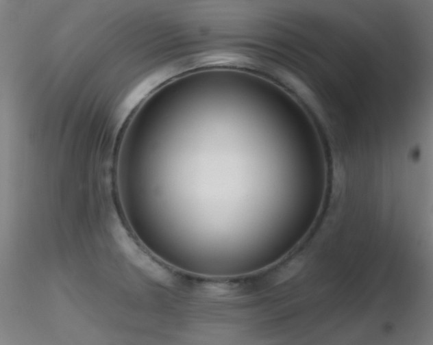 X0000116791330200912181245