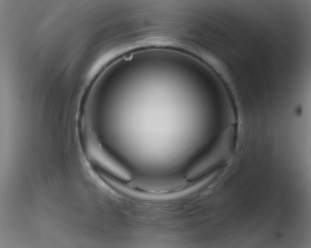 X0000116791334200912181245
