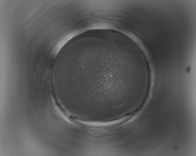 X0000116791337200912181245