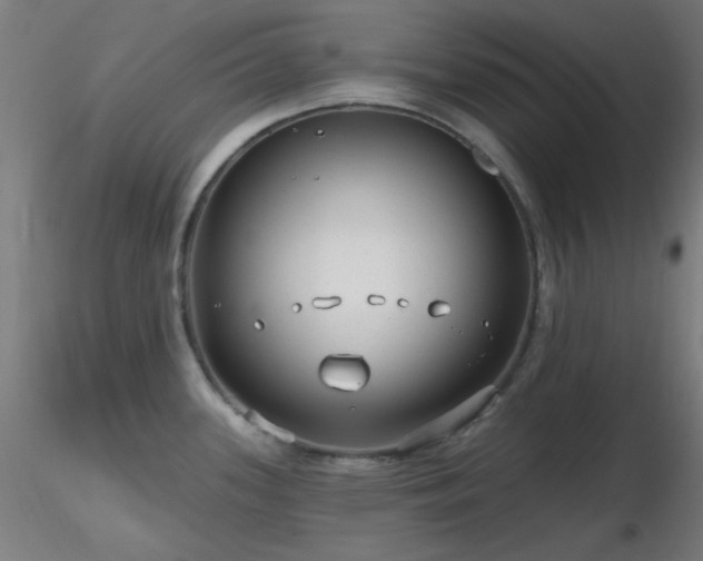X0000116791339200912181245