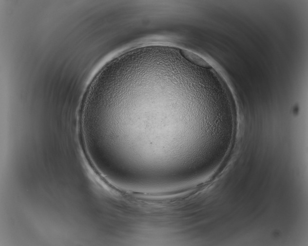 X0000116791341200912181245