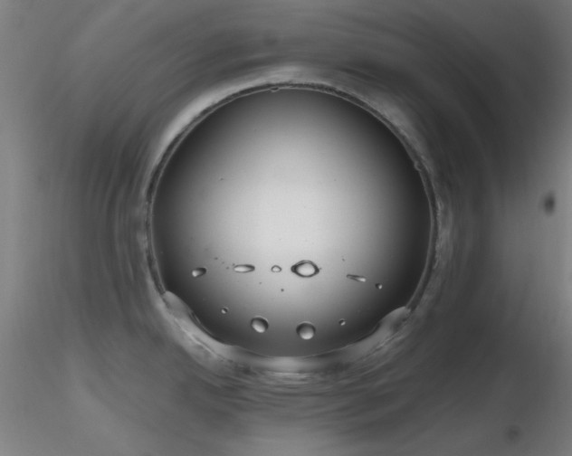 X0000116791342200912181245