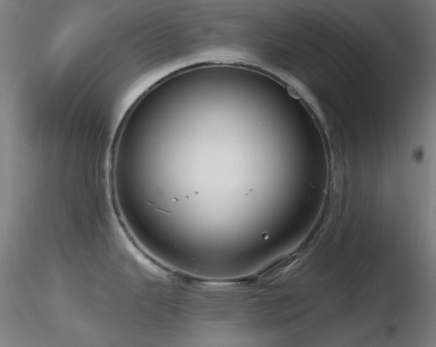 X0000116791343200912181245