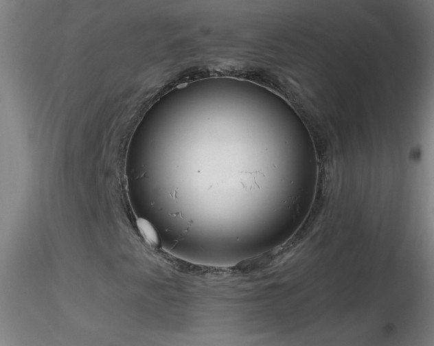 X0000116791345200912181244