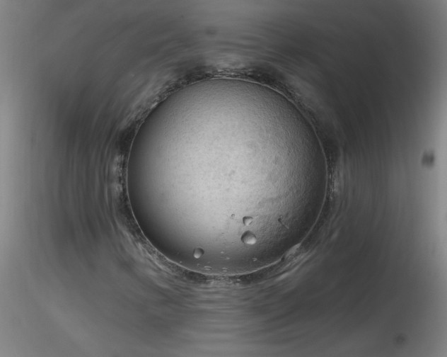 X0000116791346200912181244