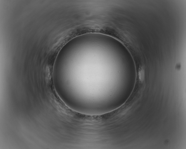 X0000116791347200912181244