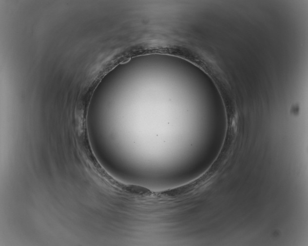 X0000116791348200912181244