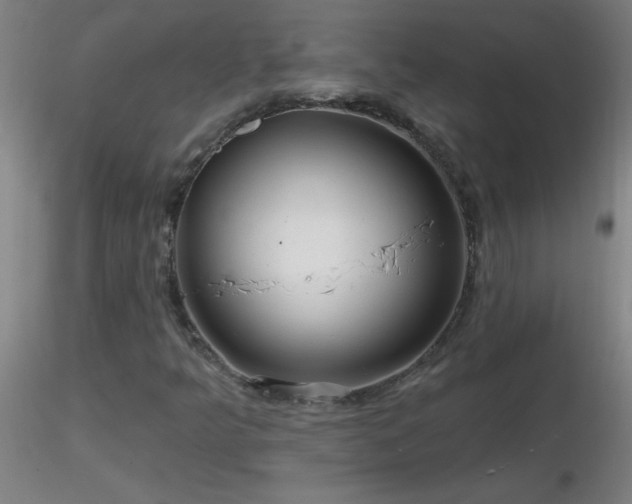 X0000116791349200912181244