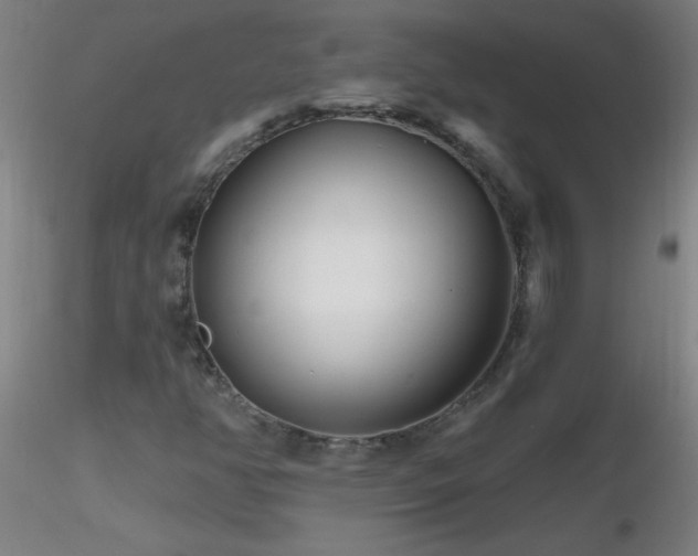 X0000116791350200912181244