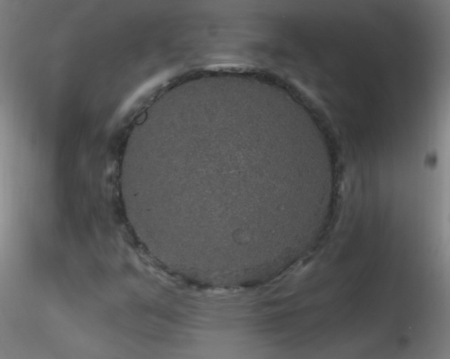 X0000116791351200912181244