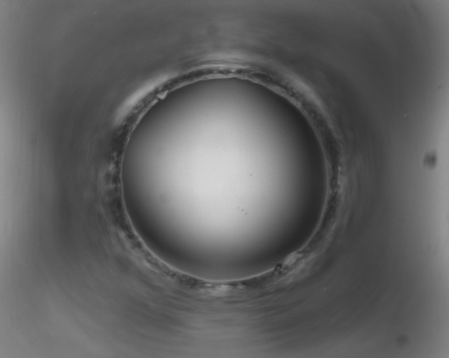 X0000116791352200912181244