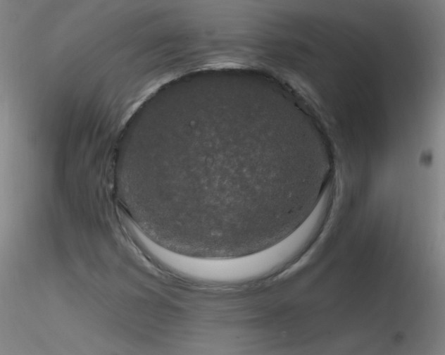 X0000116791353200912181244