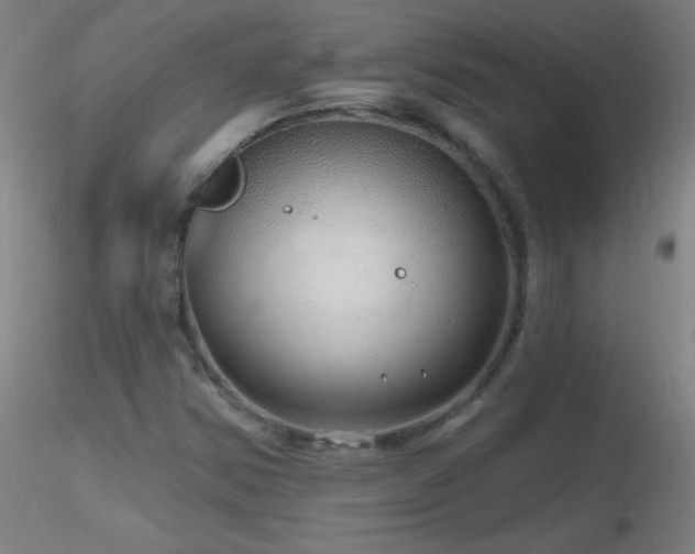 X0000116791354200912181244