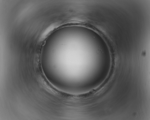 X0000116791355200912181244