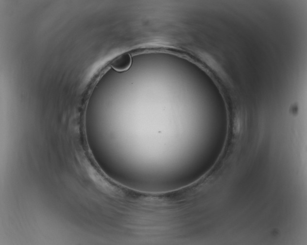 X0000116791356200912181244