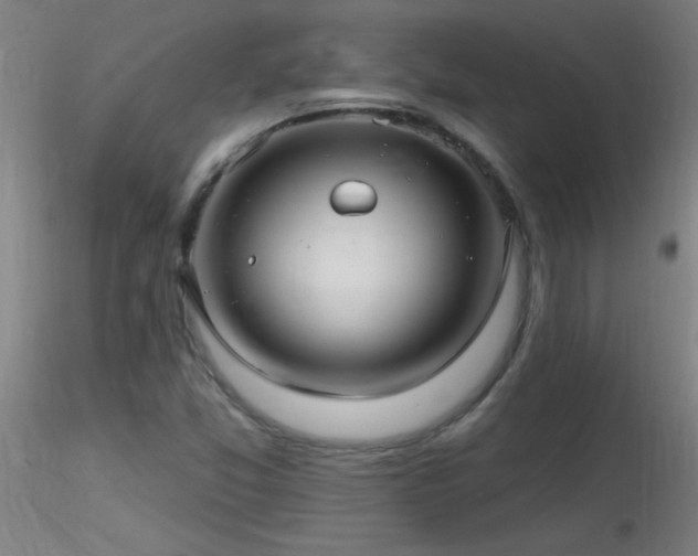 X0000116791357200912181244
