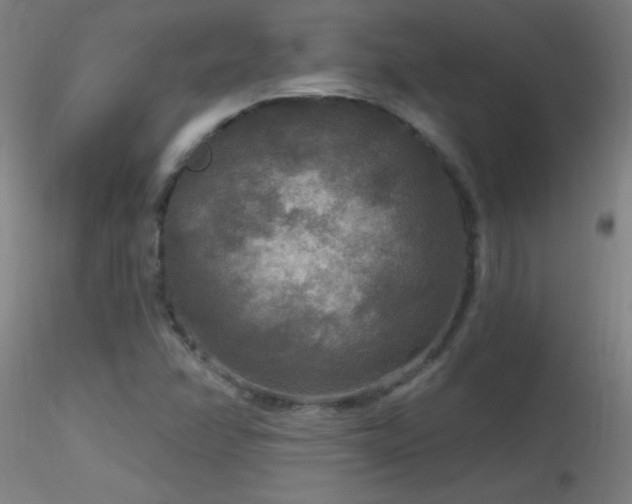 X0000116791358200912181244