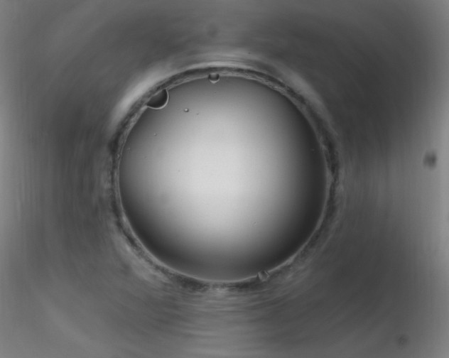 X0000116791360200912181244
