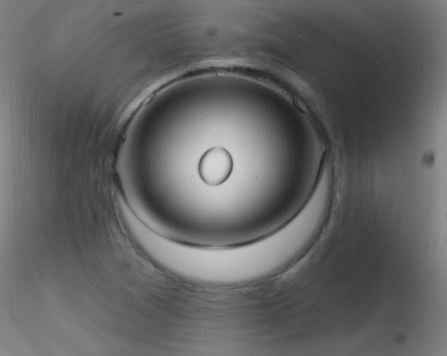 X0000116791361200912181244