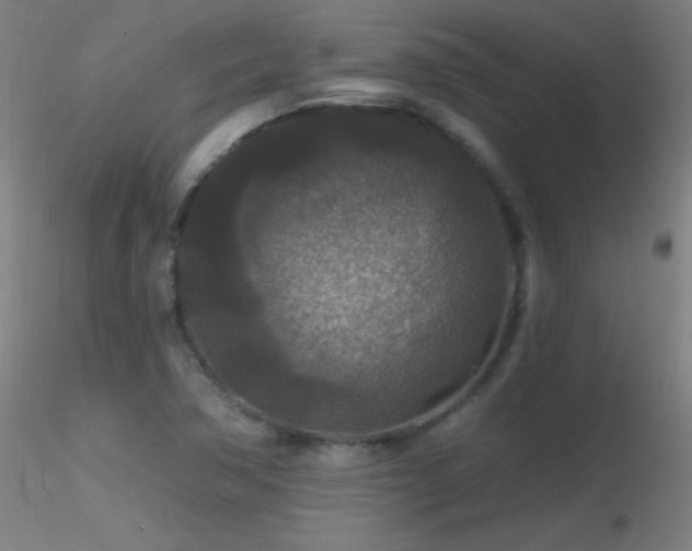 X0000116791362200912181244