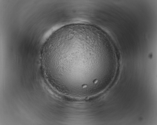 X0000116791363200912181244