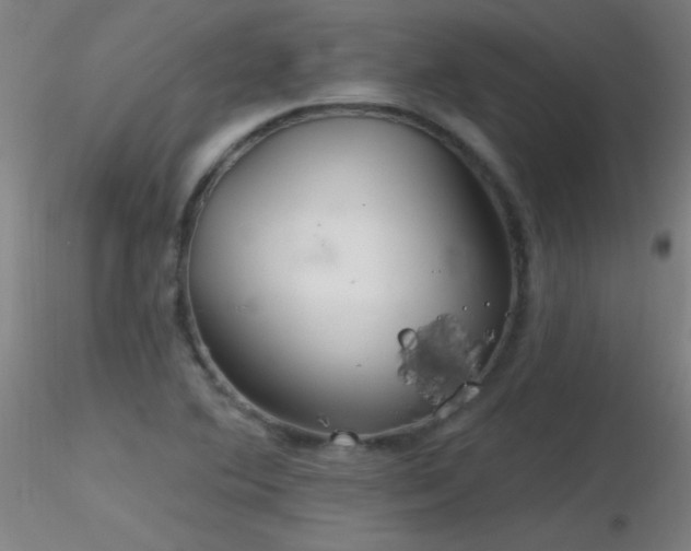 X0000116791364200912181244