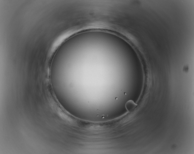 X0000116791366200912181244