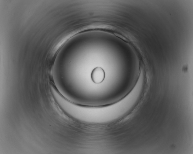 X0000116791369200912181244