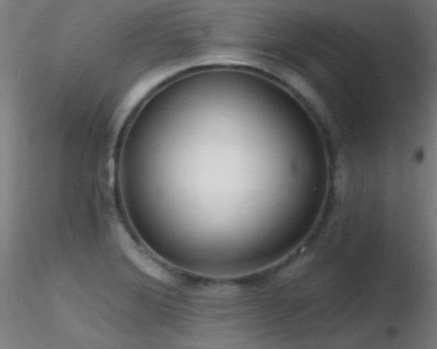 X0000116791372200912181244