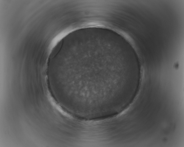 X0000116791373200912181244