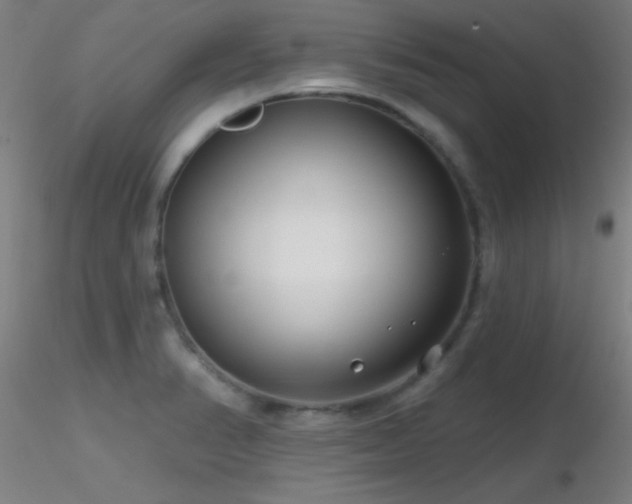 X0000116791374200912181244