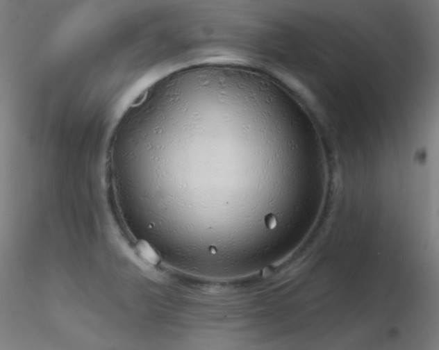 X0000116791375200912181244
